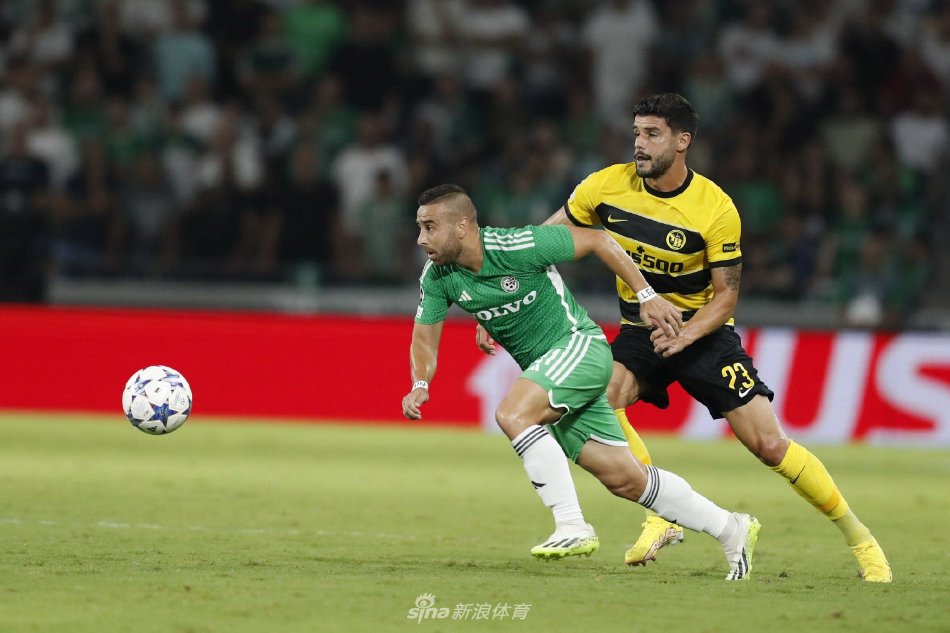 队状态和比 队状态和比